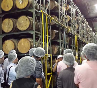 Tanduay's  Plant